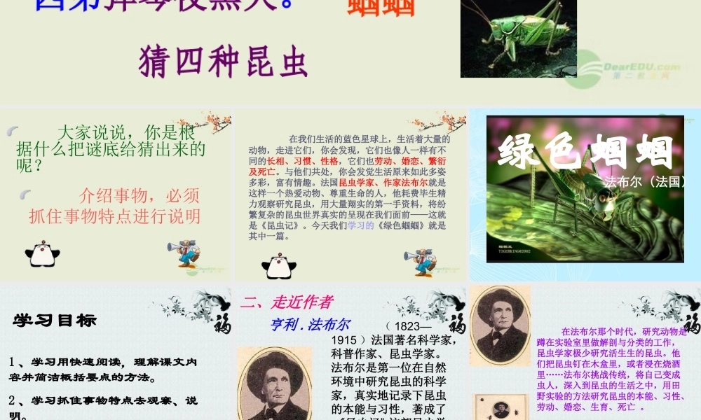 绿色蝈蝈 (3)