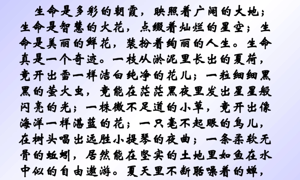 短文两篇《蝉》《贝壳》课件