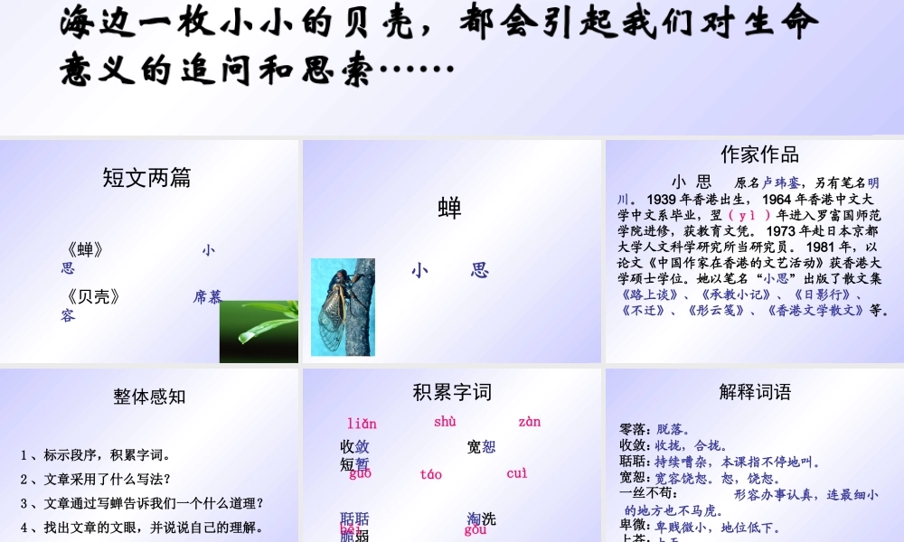 短文两篇《蝉》《贝壳》课件