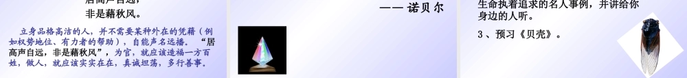 短文两篇《蝉》《贝壳》课件