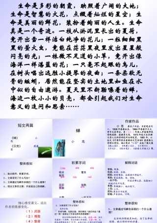 短文两篇《蝉》《贝壳》课件