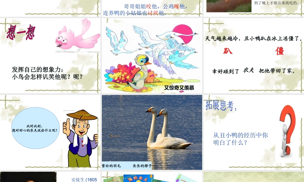 《丑小鸭》PPT[1]