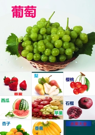 二年级汉语课件拓展水果蔬菜