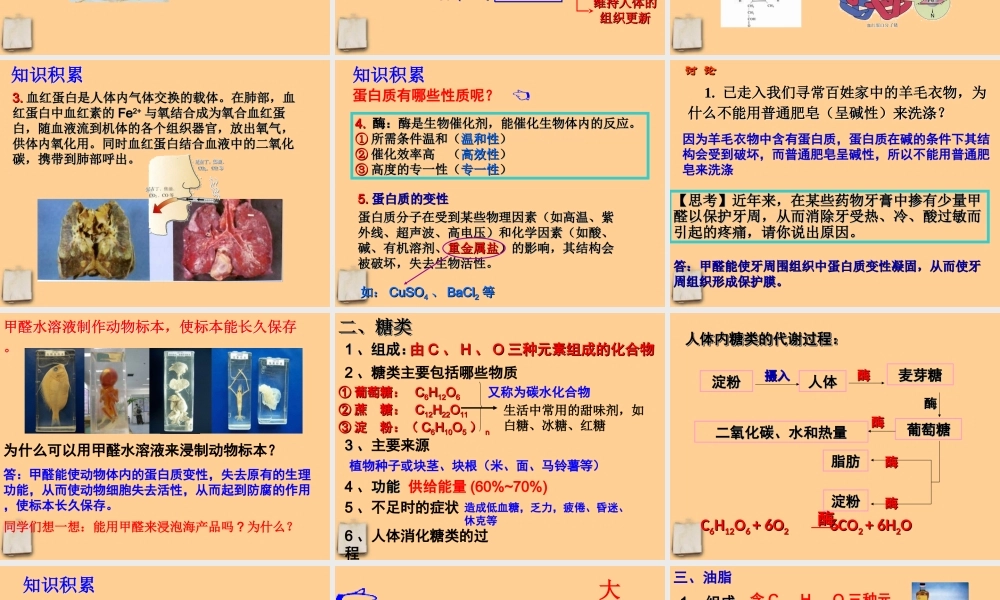 九年级化学下册_12-1人类重要的营养物质课件_人教新课标版