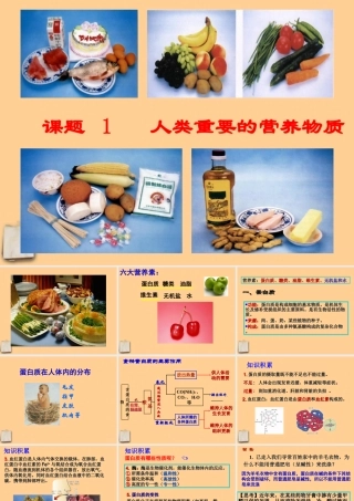 九年级化学下册_12-1人类重要的营养物质课件_人教新课标版