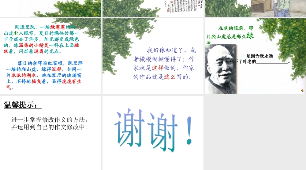 那片绿绿的爬山虎（第二课时）