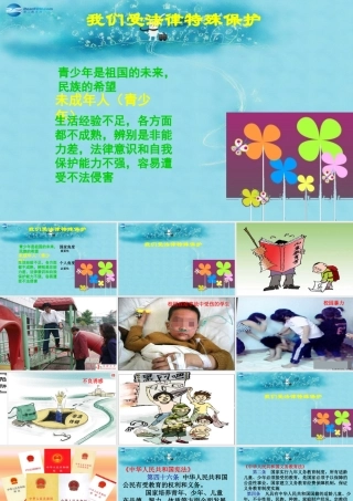 七年级政治下册 第七单元 第16课 第一框(我们受法律特殊保护)参考课件2 鲁教版 课件