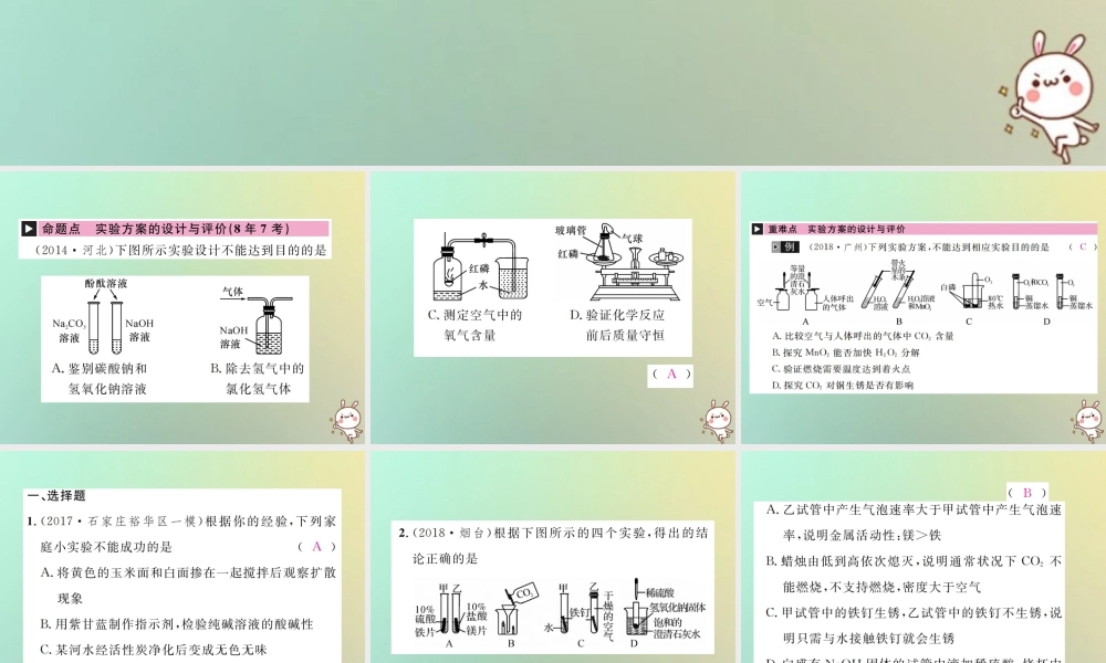 (河北专版)中考化学复习 主题五 科学探究 第19讲 实验方案的设计与评价课件