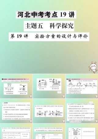 (河北专版)中考化学复习 主题五 科学探究 第19讲 实验方案的设计与评价课件