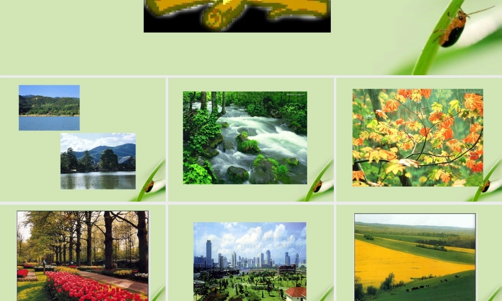 九年级化学 使用燃料对环境的影响课件 人教新课标版 课件