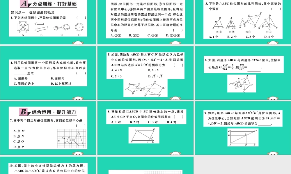 (通用)九年级数学下册 第二十七章 相似 27.3 位似 第1课时 位似图形的概念及画法习题讲评课件 (新版)新人教版 课件