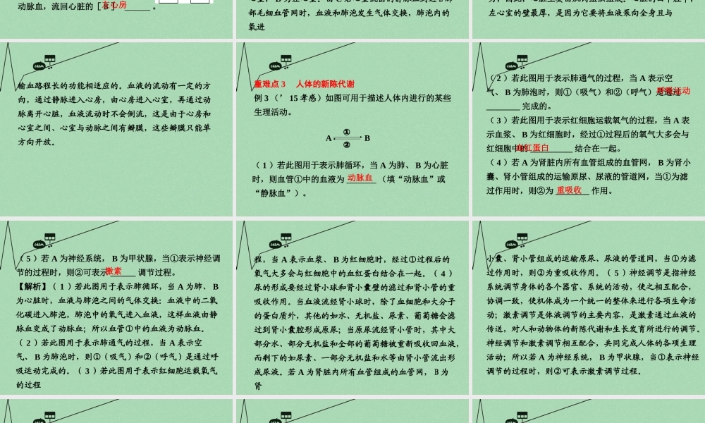 中考生物 第二部分 重点专题突破 专题五 生物圈中的人复习课件 苏教版 课件