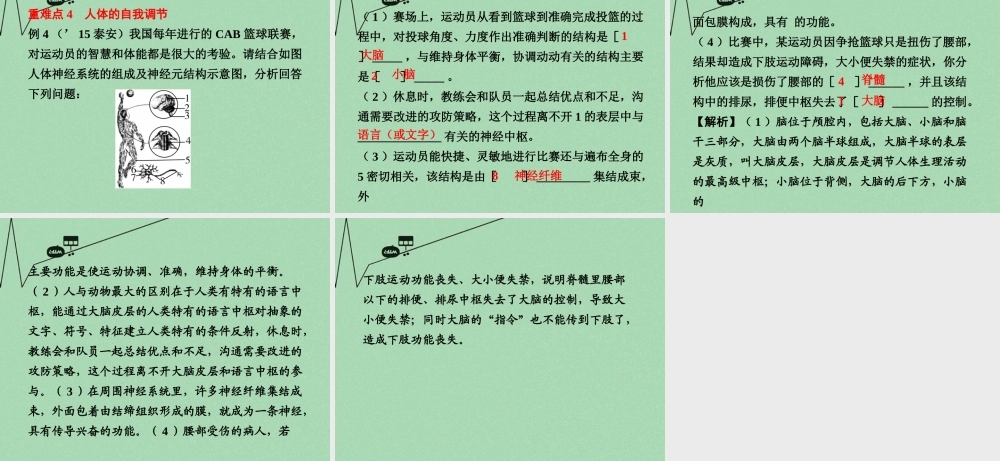 中考生物 第二部分 重点专题突破 专题五 生物圈中的人复习课件 苏教版 课件