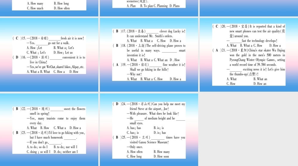 中考英语准点备考 专题精练九 简单句和并列句课件