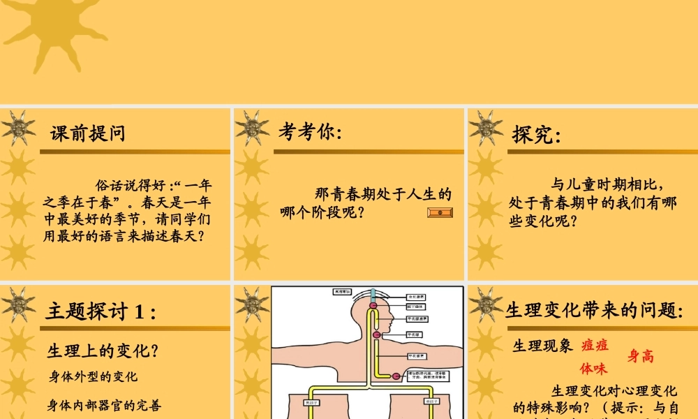 七年级政治走进青春课件 新课标 人教版 课件