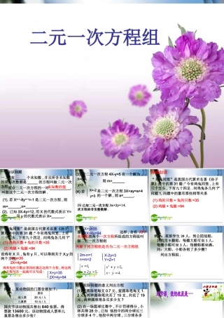 10.2二元一次方程组(1) 二元一次方程组课件
