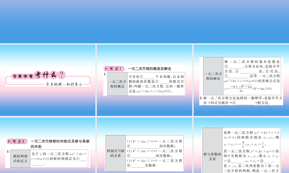 (课标版通用)中考数学一轮复习 第2章 方程组与一元一次不等式组 第6节习题课件