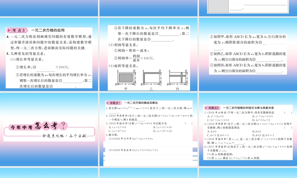 (课标版通用)中考数学一轮复习 第2章 方程组与一元一次不等式组 第6节习题课件