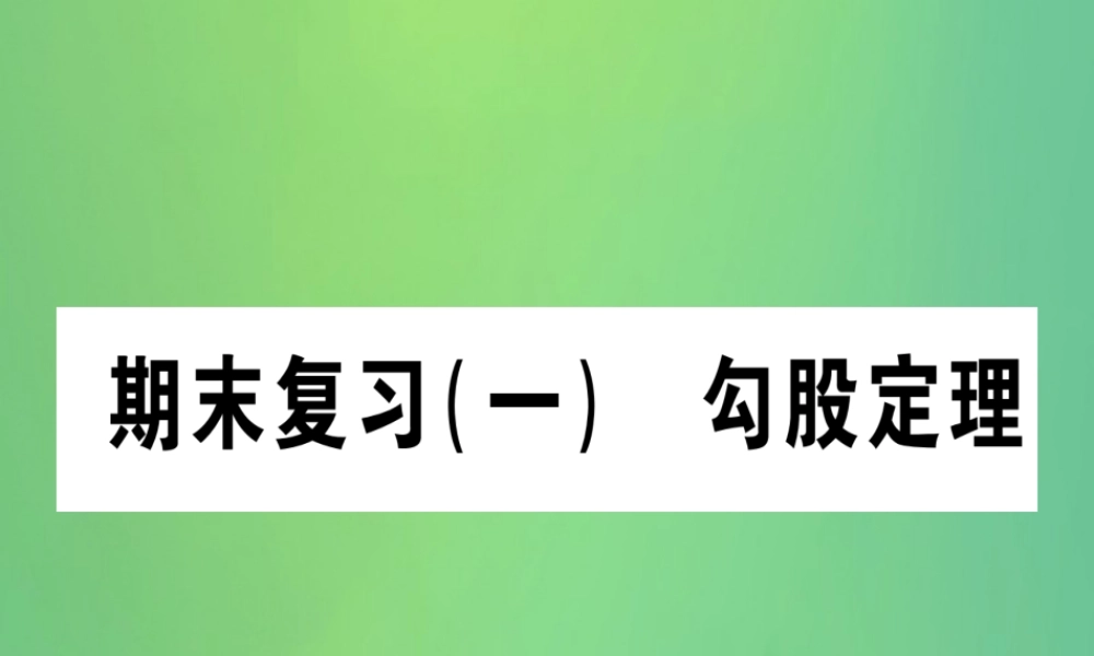 (江西专用)八年级数学上册 期末复习(一)勾股定理作业课件 (新版)北师大版 课件