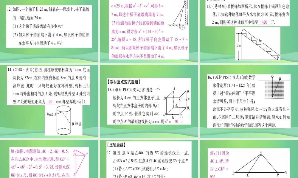 (江西专用)八年级数学上册 期末复习(一)勾股定理作业课件 (新版)北师大版 课件