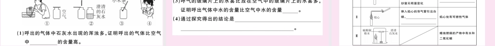 (湖北专版)九年级化学上册 第一单元 走进化学世界检测卷作业课件 (新版)新人教版 课件