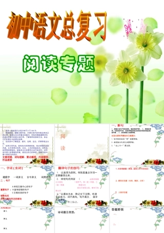 中考语文复习指导课件 阅读 课件