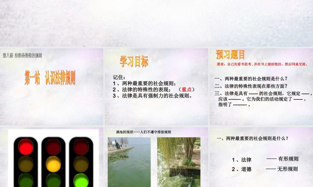 七年级政治下册 8.2 认识法律规则课件 北师大版 课件