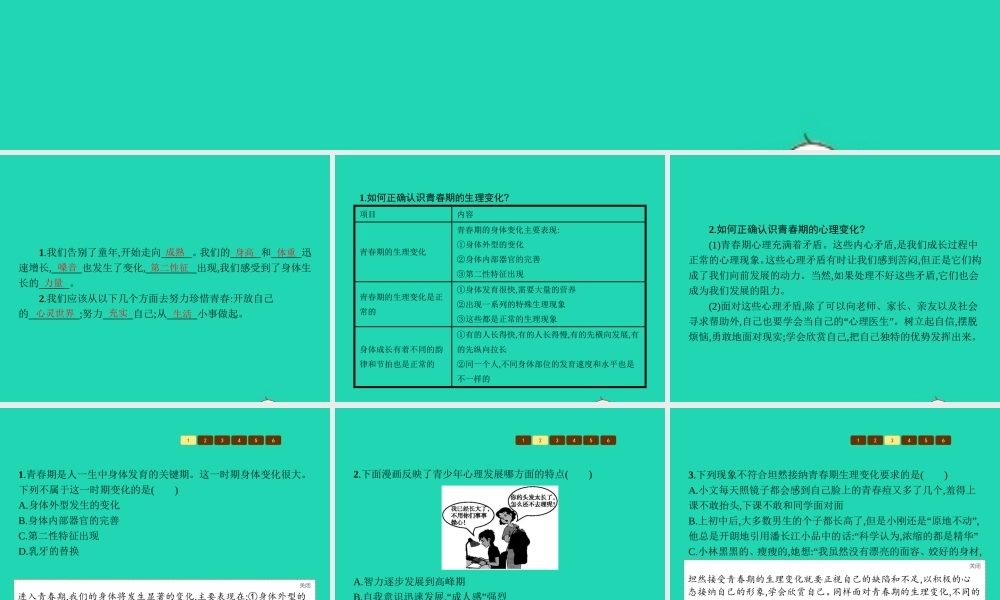 七年级政治上册 第二单元 认识自我 2.3 感受青春课件 粤教版 课件