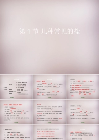 九年级化学下册 第12章 第1节(几种常见的盐)复习课件 (新版)北京课改版 课件