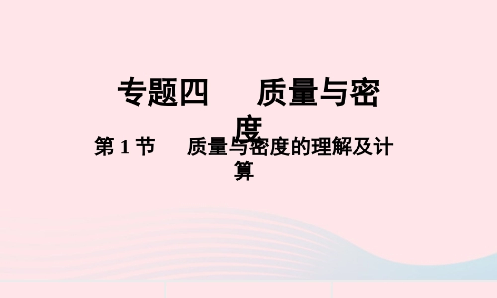 中考物理一轮复习 专题四 质量与密度 第1节 质量与密度的理解及计算课件