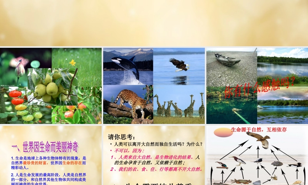 七年级政治下册 5.1 珍爱生命课件 粤教版 课件