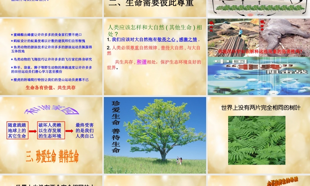 七年级政治下册 5.1 珍爱生命课件 粤教版 课件