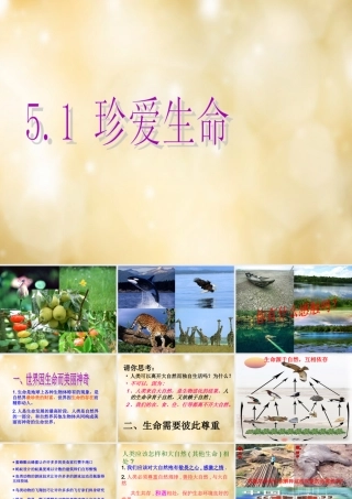 七年级政治下册 5.1 珍爱生命课件 粤教版 课件