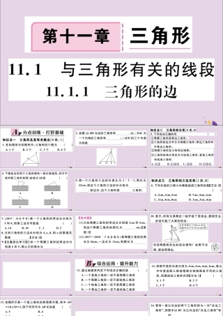 (河北专版)八年级数学上册 11.1 与三角形有关的线段 11.1.1 三角形的边习题课件 (新版)新人教版 课件