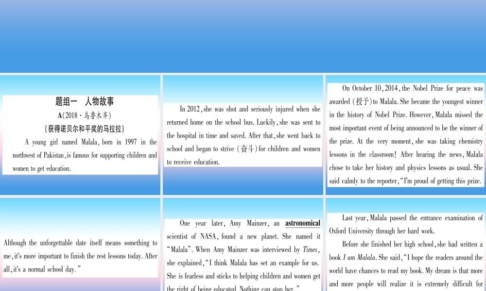 (湖北专用版)版中考英语专题高分练 专题突破十五 阅读理解实用课件