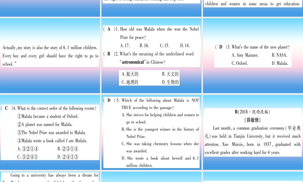 (湖北专用版)版中考英语专题高分练 专题突破十五 阅读理解实用课件