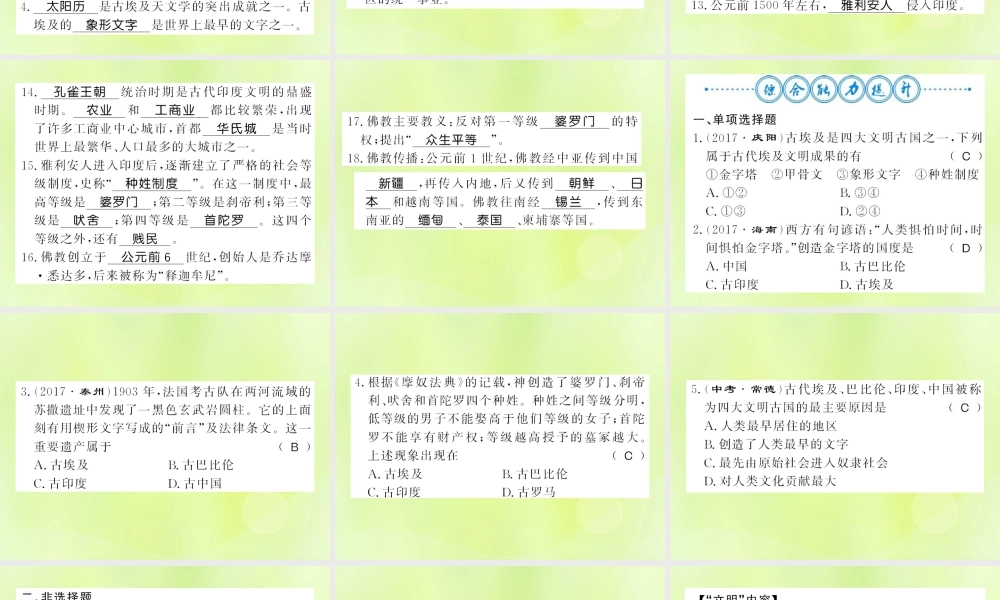 九年级历史上册 第1单元 古代亚非文明整理与复习习题课件 新人教版 课件