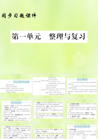 九年级历史上册 第1单元 古代亚非文明整理与复习习题课件 新人教版 课件