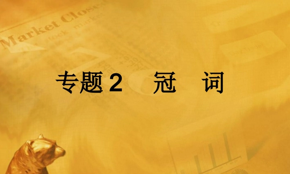 中考英语语法考点专题复习2 冠词课件