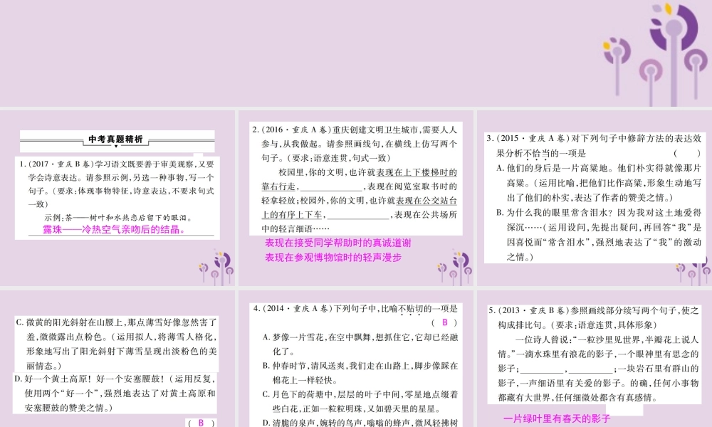 中考语文复习 第一部分 语文知识及运用 专题八 仿写与修辞课件