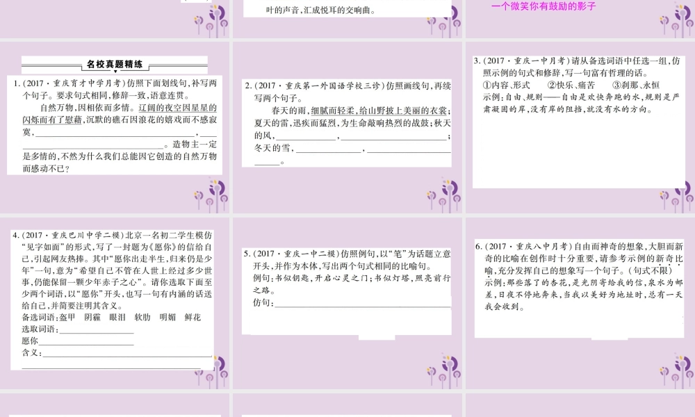 中考语文复习 第一部分 语文知识及运用 专题八 仿写与修辞课件