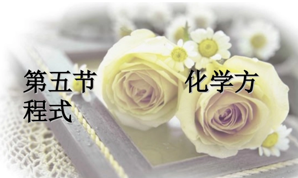 九年级化学化学方程式 ppt 课件