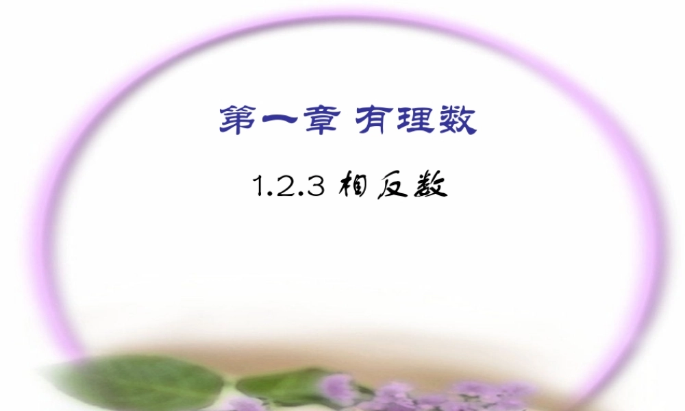 七年级数学上1.2有理数课件6人教版 课件