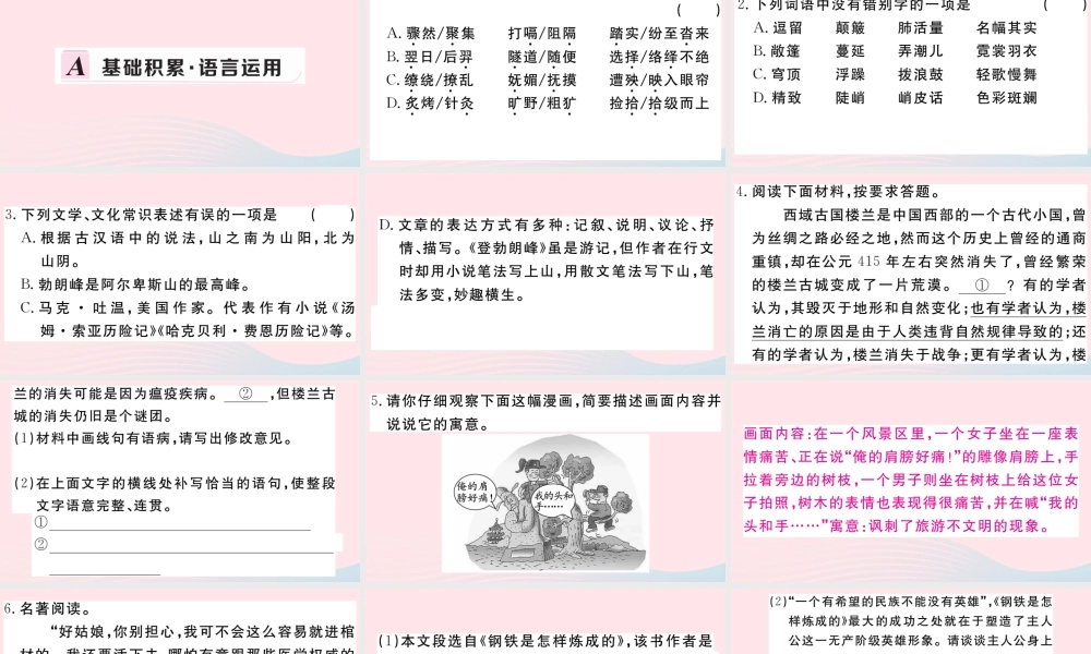 (河南专版)八年级语文下册 第五单元 19 登勃朗峰习题课件 新人教版 课件