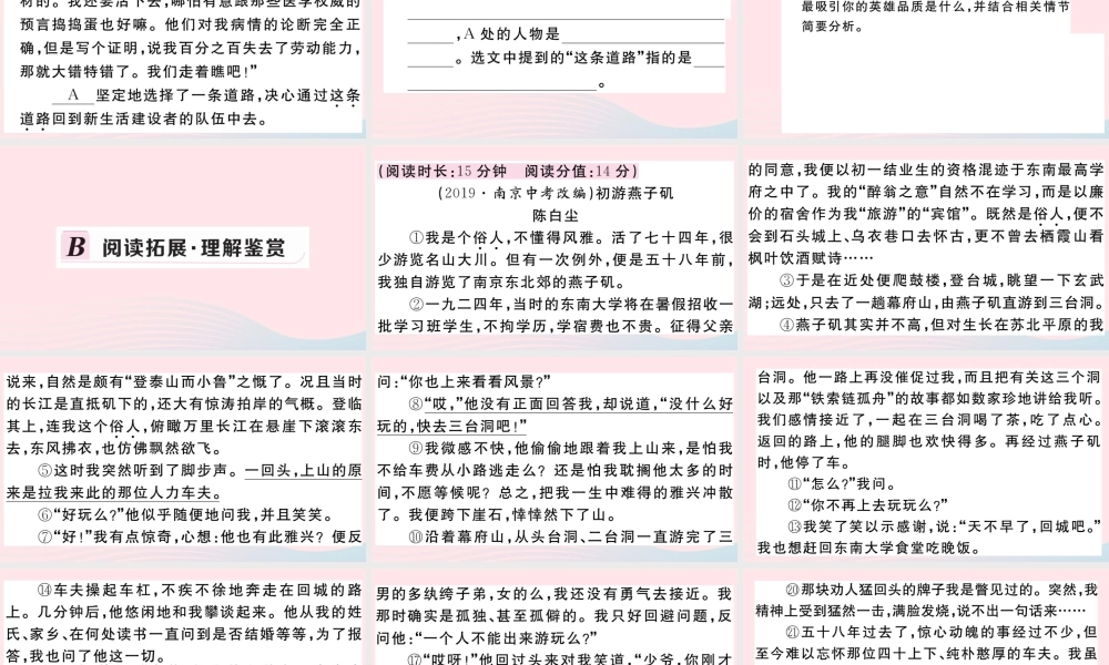 (河南专版)八年级语文下册 第五单元 19 登勃朗峰习题课件 新人教版 课件