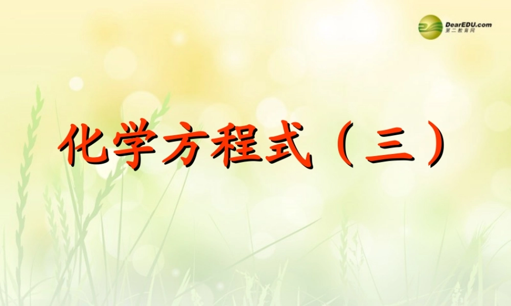 九年级化学全册 4-3 化学方程式课件 (新版)沪教版 课件