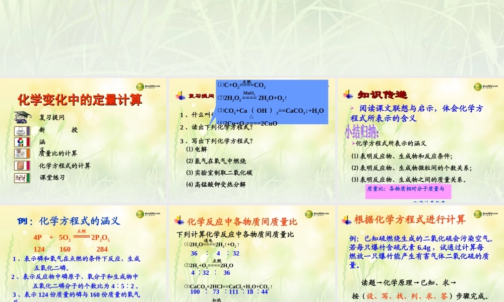 九年级化学全册 4-3 化学方程式课件 (新版)沪教版 课件