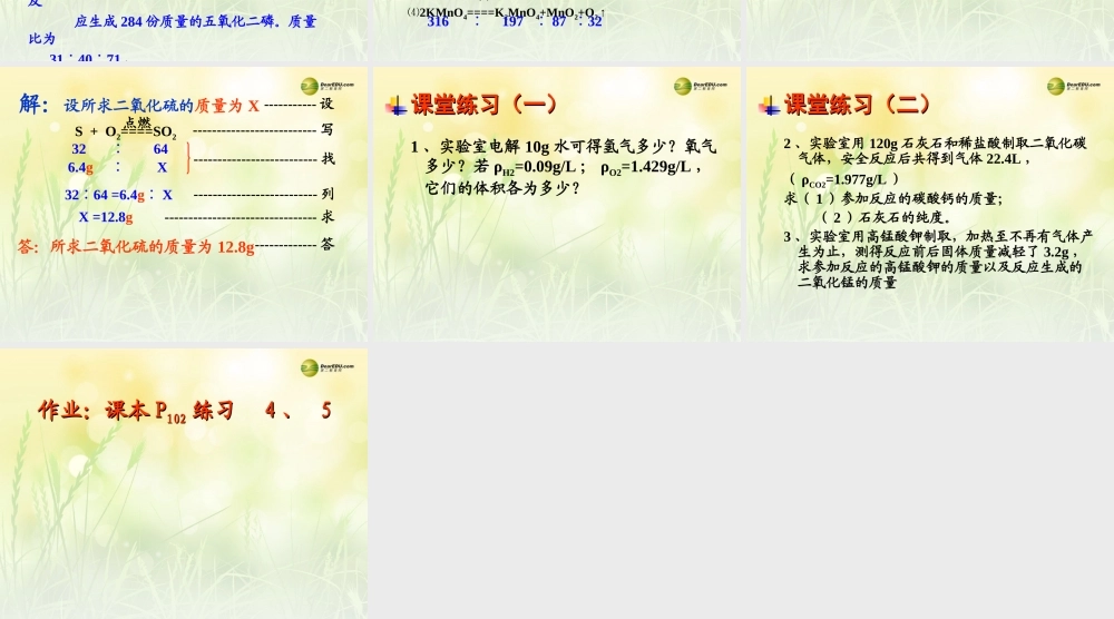 九年级化学全册 4-3 化学方程式课件 (新版)沪教版 课件