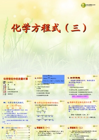 九年级化学全册 4-3 化学方程式课件 (新版)沪教版 课件