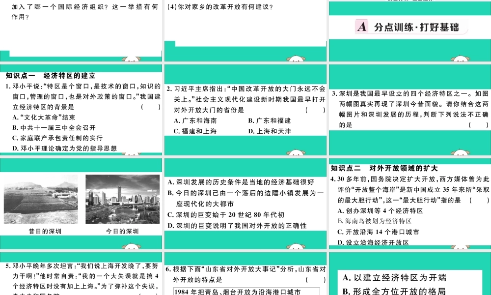 (玉林专版)八年级历史下册 第三单元 中国特色社会主义道路 第9课 对外开放习题课件 新人教版 课件